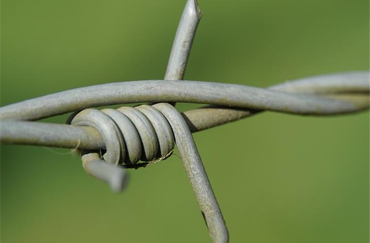 Twisted wire test device